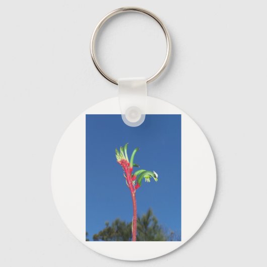PORTE-CLÉS PLANTE DE PATTE DE KANGOUROU (Recto)
