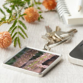 Porte-clés Plante Stem Thorns Nature Park Photographie (Côté)