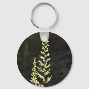 Porte-clés Plante vert