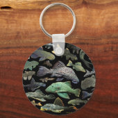 Porte-clés Pleco (Recto)