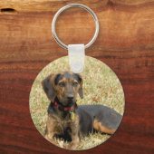 Porte-clés Plott Hound (Recto)