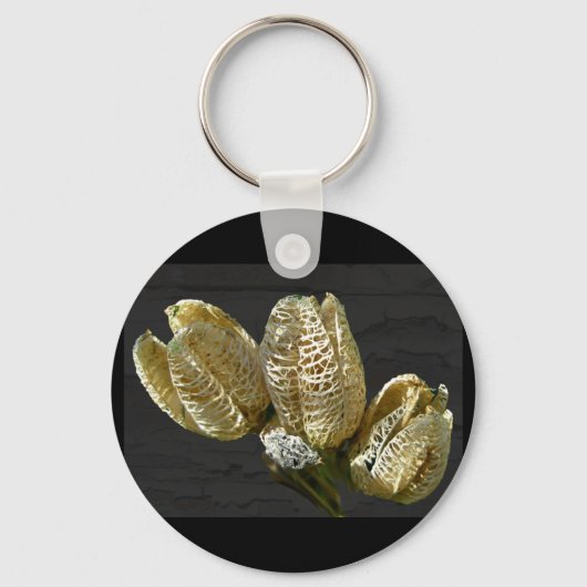 Porte-clés Pods de graines de Lily séchés (Recto)