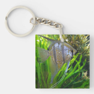 Porte-clés Poisson ange