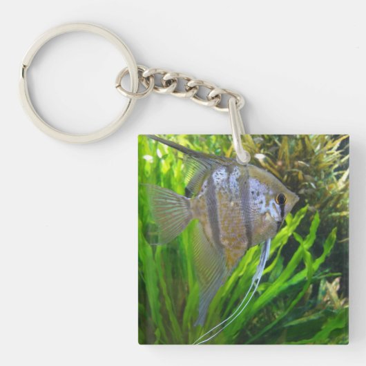 Porte-clés Poisson ange (Devant)