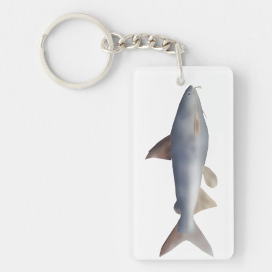 Porte-clés Poisson-chat tacheté (Devant)