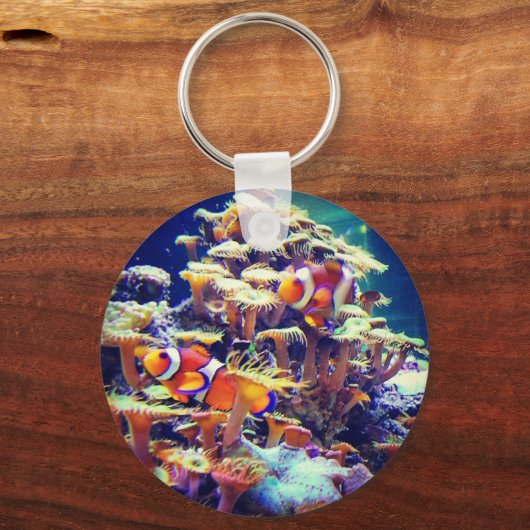 Porte-clés Poisson clown (Recto)