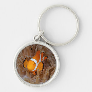 Porte-clés Poisson-clown - Molokai, falaise de la côte nord