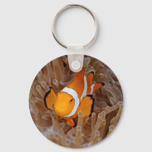 Porte-clés Poisson clown - Molokai, falaise de la côte nord