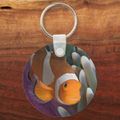 Porte-clés Poisson clown occidental (Recto)