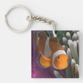 Porte-clés Poisson d'anémone clown occidental (Devant)