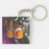 Porte-clés Poisson d'anémone clown occidental (Dos)