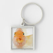 Porte-clés Poisson d'eau douce tropical (Devant)