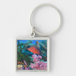 Porte-clés poisson-échelle Pseudanthias
