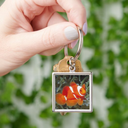 Porte-clés poissons de nemo (main)