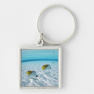 Porte-clés Poissons en mer 2