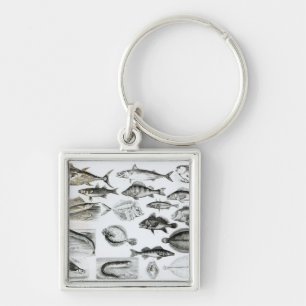 Porte-clés Poissons osseux d'ichtyologie