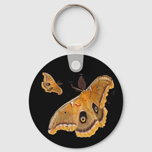 Porte-clés Polyphemus Moth (Recto)