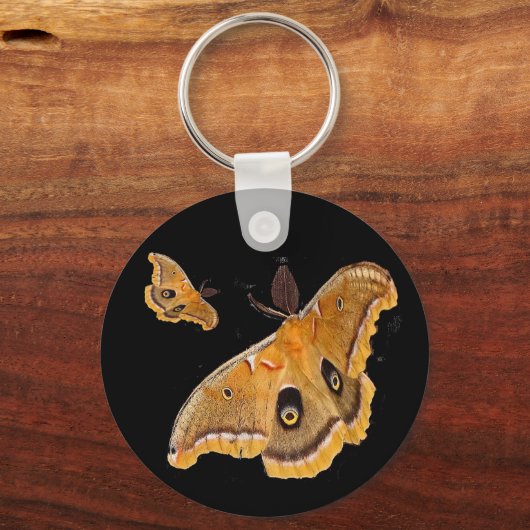 Porte-clés Polyphemus Moth (Recto)