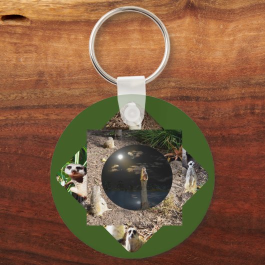 Porte-clés Polyscope Meerkat, Clavier (Verso)