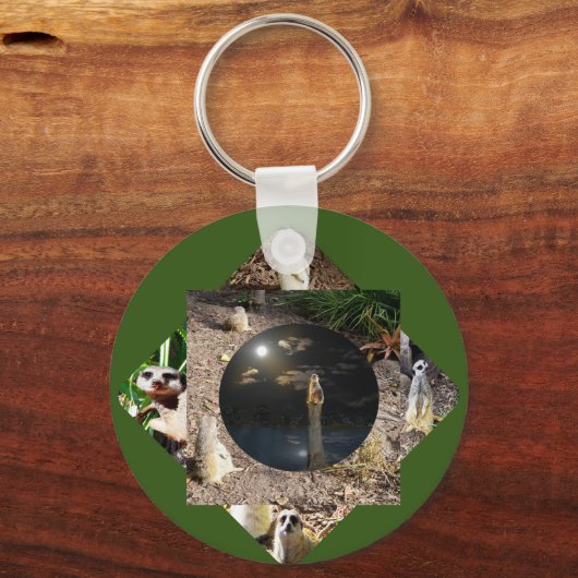 Porte-clés Polyscope Meerkat, Clavier (Recto)