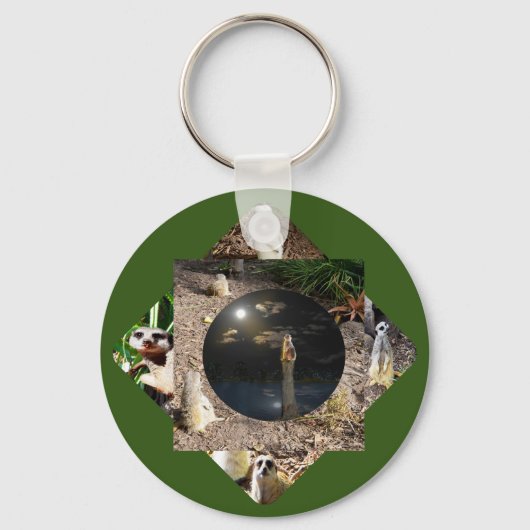 Porte-clés Polyscope Meerkat, Clavier (Verso)