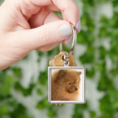 Porte-clés Pomeranian (main)