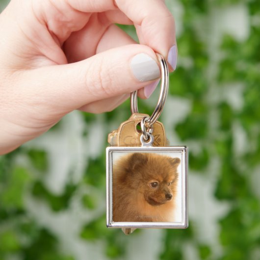 Porte-clés Pomeranian (main)