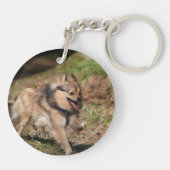 Porte-clés Pomeranian fonctionnant avec le harnais dessus (Dos)