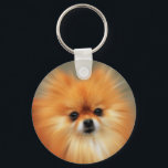 Porte-clés Poméranien<br><div class="desc">Le Poméranien est une race de chien de la famille spitz, du nom de la région de Poméranie en Europe Centrale, qui fait aujourd'hui partie du nord de la Pologne et de l'Allemagne moderne de l'Est, et classé comme une race de chien jouet en raison de sa petite taille. Selon...</div>