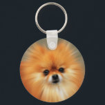 Porte-clés Poméranien<br><div class="desc">Le Poméranien est une race de chien de la famille spitz, du nom de la région de Poméranie en Europe Centrale, qui fait aujourd'hui partie du nord de la Pologne et de l'Allemagne moderne de l'Est, et classé comme une race de chien jouet en raison de sa petite taille. Selon...</div>