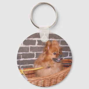 Porte-clés Poméranien