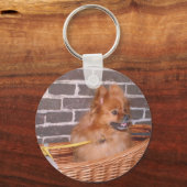 Porte-clés Poméranien (Recto)