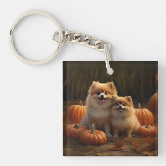 Porte-clés Poméranien Chiot Automne Citrouille délice (Devant)