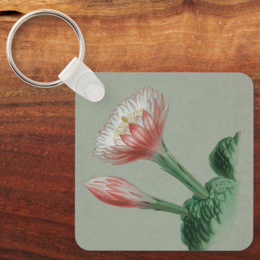 Porte-clés Pomme péruvienne (Recto)