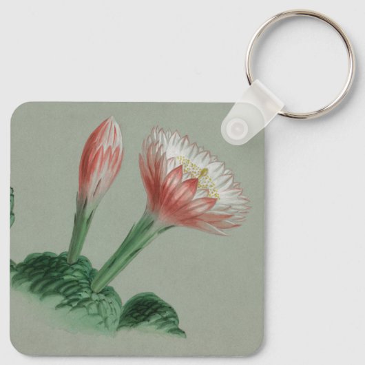 Porte-clés Pomme péruvienne (Dos)