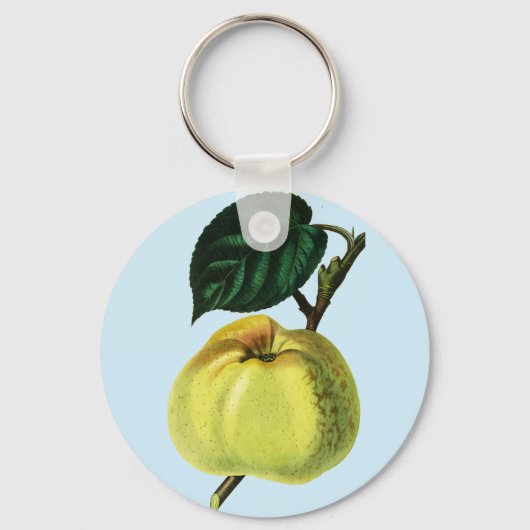 Porte-clés pomme verte sur l'illustration botanique d'un arbr (Recto)