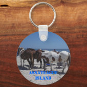 Porte-clés Ponts de l'île d'Assateague (Recto)