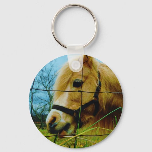 Porte-clés Pony miniature blond / Cheval Ciel bleu (Recto)
