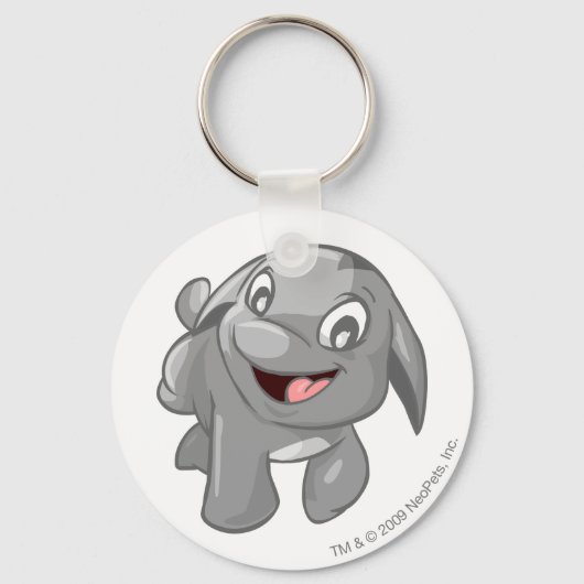 Porte-clés Poogle Silver (Recto)
