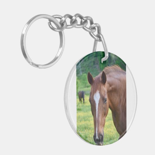 Porte-clés porte - clé (Devant gauche)