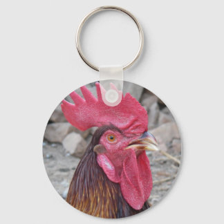 Porte-clés Porte - clé