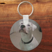 Porte-clés Porte - clé américain de bulldog (Recto)