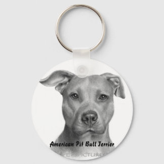 PORTE-CLÉS PORTE - CLÉ AMPT