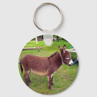 Porte-clés Porte - clé âne miniature