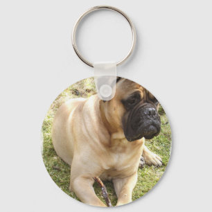 Porte-clés Porte - clé anglais de mastiff
