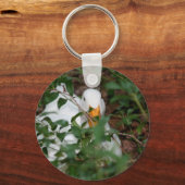 Porte-clés Porte - clé animal blanc masquant l'oie (Recto)