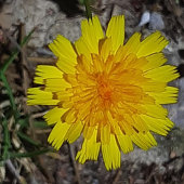 PORTE-CLÉS PORTE - CLÉ ART ET DESIGN