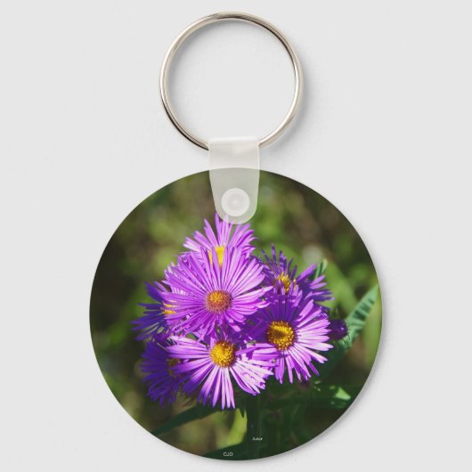 Porte-clés Porte - clé Aster (Recto)