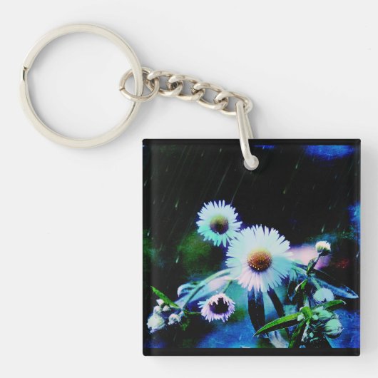 Porte-clés Porte - clé Asters Aglow (Devant)