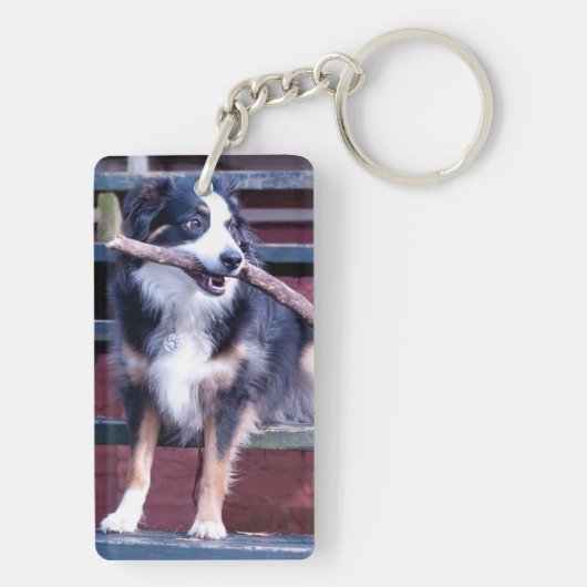 Porte-clés Porte - clé australien de berger (Dos)